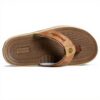 Sperry sandales homme cuir Baitfish Thong Marron Clair