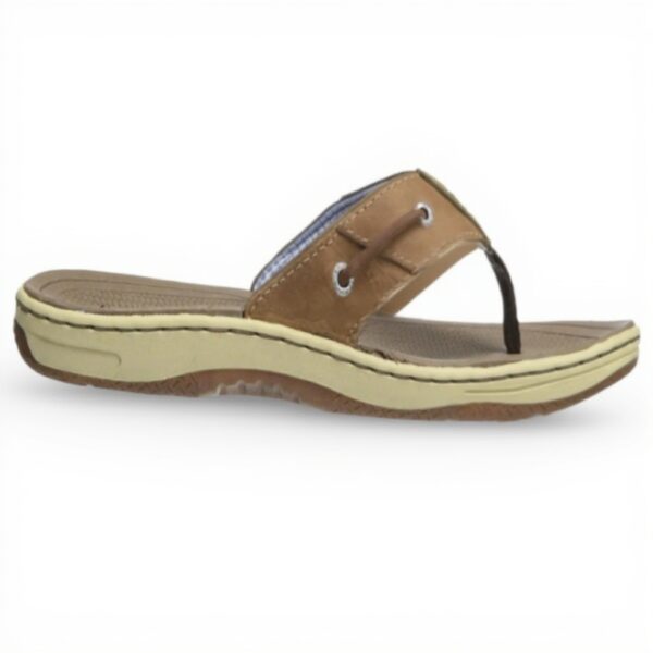 Sperry Homme Sandales Baitfish Thong Marron Clair Cuir