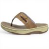 Sperry Homme Sandales Baitfish Thong Marron Clair Cuir
