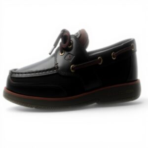 Sperry Homme Surveyor 2-Eye Chaussure Bateau Cuir Confort