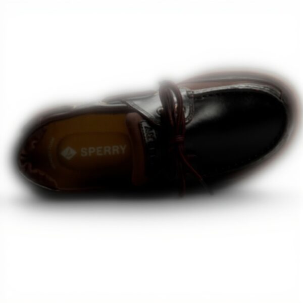 Sperry Homme Surveyor 2-Eye Chaussure Bateau Cuir Confort