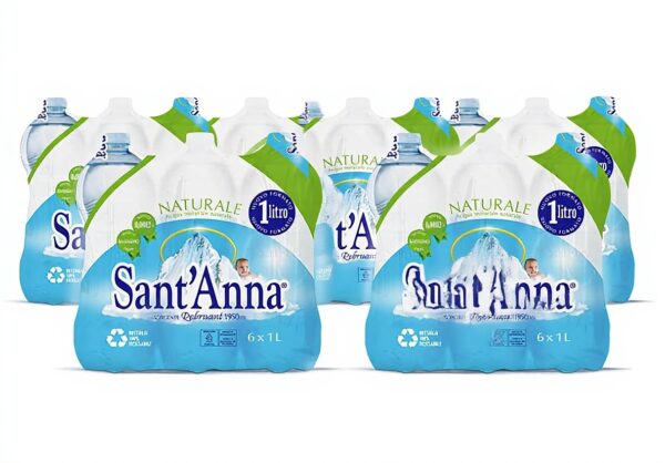 Eau minérale Sant'Anna 1L naturelle pack 54 bouteilles