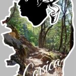 Autocollant mural Corse du sud 29x13.5cm Générique-0