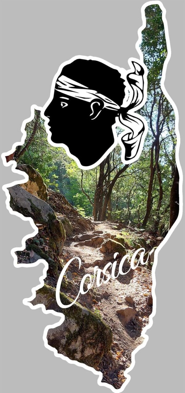 Autocollant mural Corse du sud 29x13.5cm Générique-0