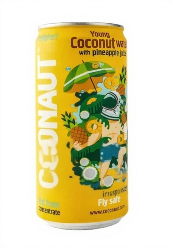 Eau de coco jus d'ananas Coconaut boisson isotonique adulte