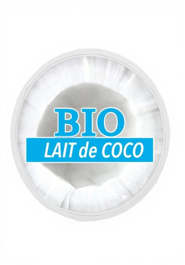 Lait de coco bio KARA 500ml cuisine asiatique durable