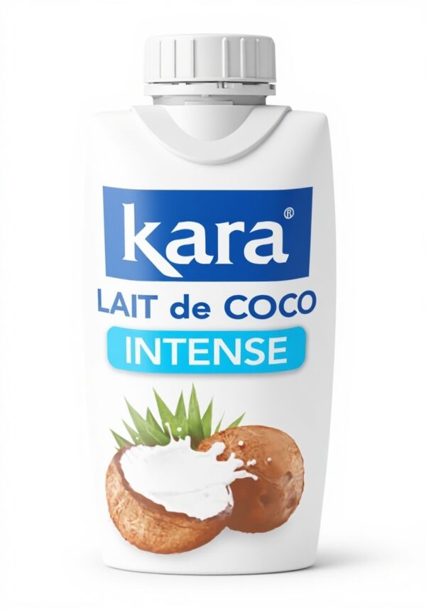 Lait de coco bio KARA sans additifs plats sucrés salés