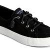 Sperry Baskets Crest Vibe Femme Noir Confortable Semelle