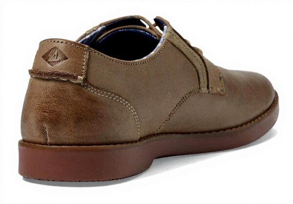 Sperry Newman Oxford Homme Cuir Souple Semelle Antidérapante