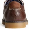 Sperry Oxford Homme Cuir Marron Chaussures Classiques