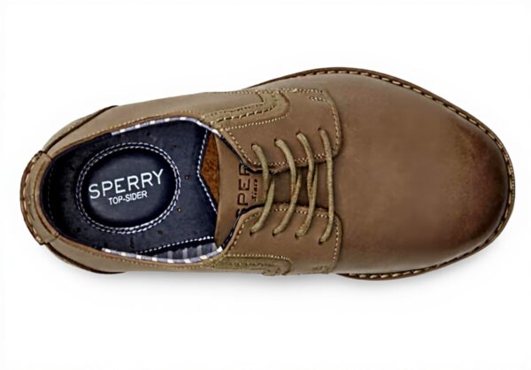 Sperry Newman Oxford Homme Cuir Souple Semelle Antidérapante