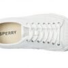 Sperry Oxford Homme Blanc Cuir Daim Tennis Raquette