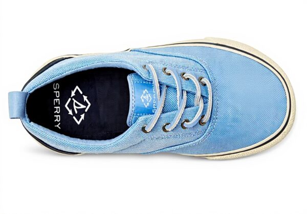 Sperry Striper II CVO Seacyclé Basket Homme Nylon Bleu