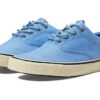 Sperry Striper II CVO Seacyclé Basket Homme Nylon Bleu