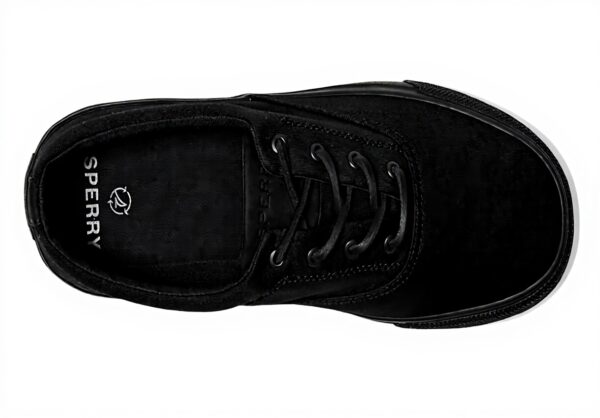 Sperry Top-Sider Striper II CVO Basket Homme Coton Recyclé