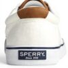 Baskets Sperry Top-Sider Striper II CVO Ecru Homme