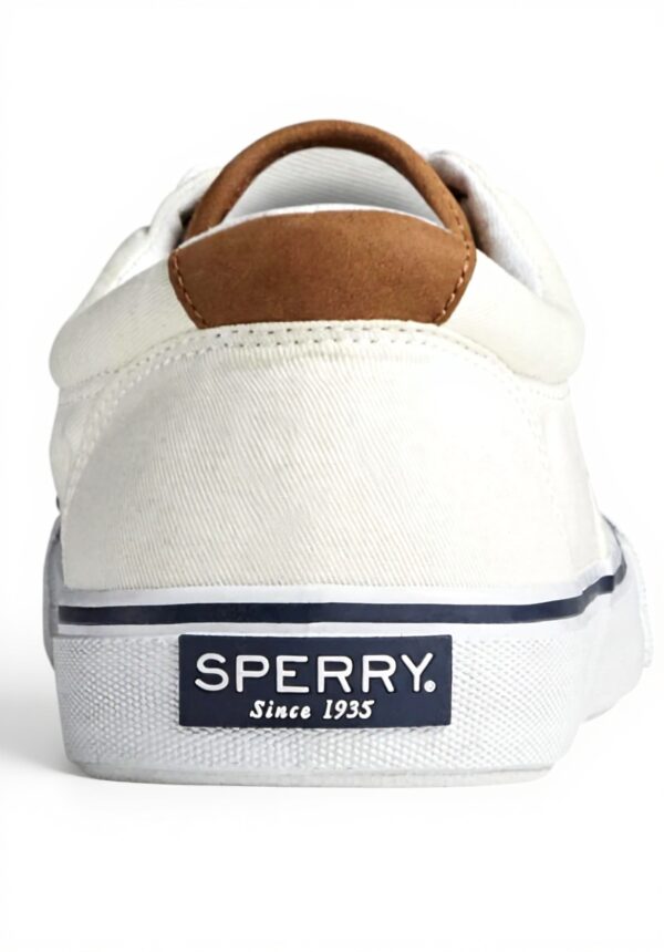 Baskets Sperry Top-Sider Striper II CVO Ecru Homme