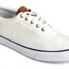 Baskets Sperry Top-Sider Striper II CVO Ecru Homme