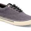 Sperry Top-Sider Striper Storm CVO Basket Homme Noir Gris