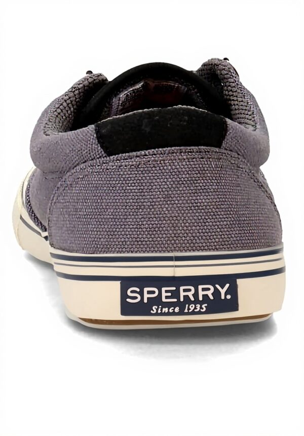 Sperry Top-Sider Striper Storm CVO Basket Homme Noir Gris