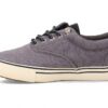 Sperry Top-Sider Striper Storm CVO Basket Homme Noir Gris
