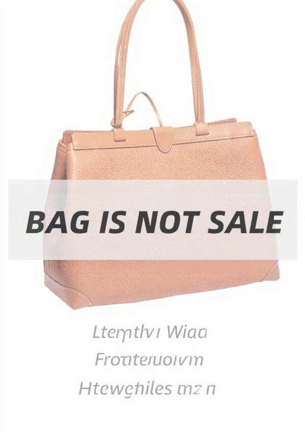 Organiseur de sac Goyard Bellechasse doublure feutre Xoppia